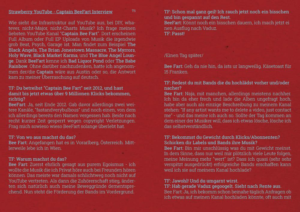 Tapefruit Print Ausgabe 2 / Seite 17